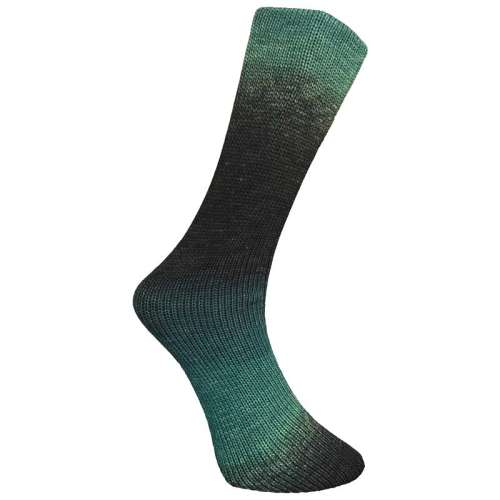 Ferner-Sockenwolle-Farbe-950-26